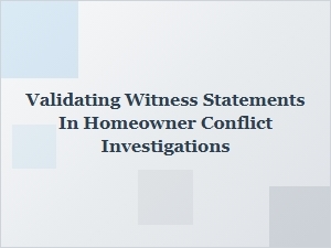 Guidelines for Witness Statement Validation